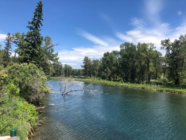 istock Inglewood Bird Sanctuary in southeast Calgary, Alberta 1328573909