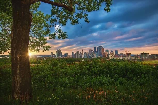 istock Summer Sunrise Glowing Over Downtown Calgary 1328580235