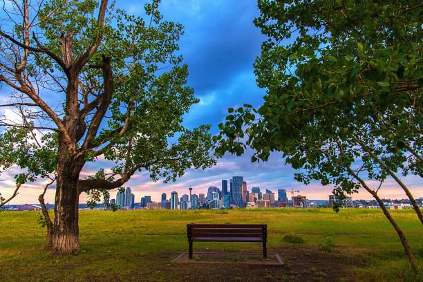 istock Bench In A Summer Park Overlooking Downtown Calgary 1328580274
