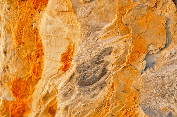 istock Stone texture as the background, close-up images 1328581096