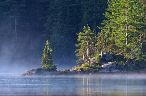misty dawn sur le lac wolf, temagami, ontario, canada - northern lake photos et images de collection