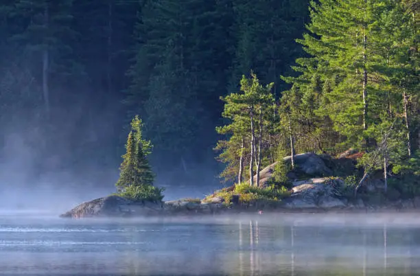 Landscape image taken at dawn of mist rising off of Wolf Lake in mid-August. Wolf Lake and its environs contain the largest remaining stand of old-growth red pine in the world.