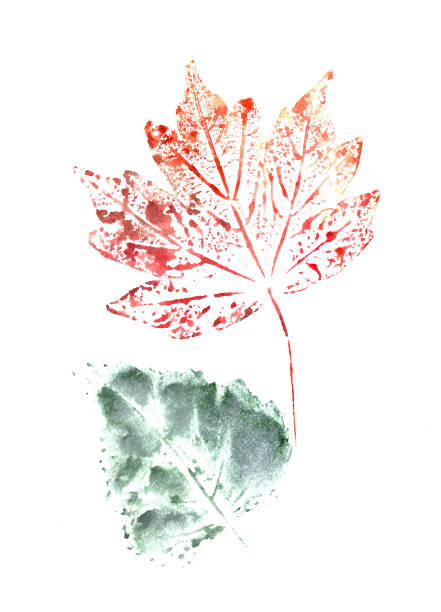 istock set of autumn watercolor leaves on a white background 1328586838