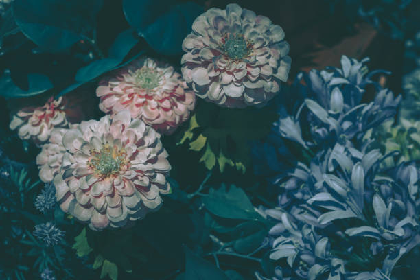 istock Beautiful Artificial Flowers Background, Vintage style; 1328586960
