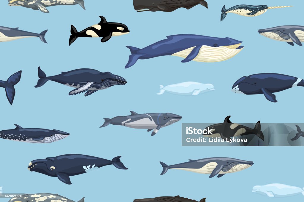 Ilustración de Ballenas De Patrón Sin Costuras Sobre Fondo Azul Impresión De Personajes De Dibujos Animados Del Océano En Estilo Escandinavo Para Niños Textura Repetida Con Mamíferos Marinos y más Vectores Libres Ilustración de Ballenas De Patrón Sin Costuras Sobre Fondo Azul Impresión De Personajes De Dibujos Animados Del Océano En Estilo Escandinavo Para Niños Textura Repetida Con Mamíferos Marinos y más Vectores Libres