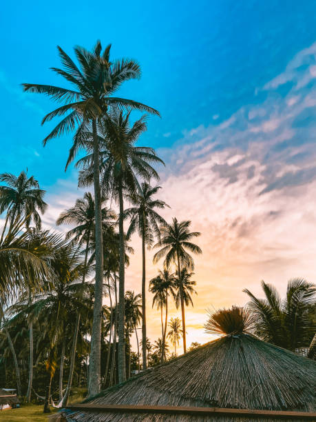 istock hideout beach sunset in Koh Kood, Trat, Thailand 1328595735