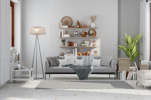 Modern Living Room Interior With Gray Sofa, Floor Lamp, Potted Plant, Books And Decorative Objects On The Shelf.