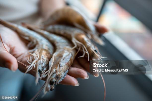 Raw Shrimp Hands Stock Photo - Download Image Now - Shrimp - Seafood, Shrimp - Animal, Prawn - Animal