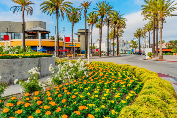 Overlooking the Pike area and other Long Beach attractions