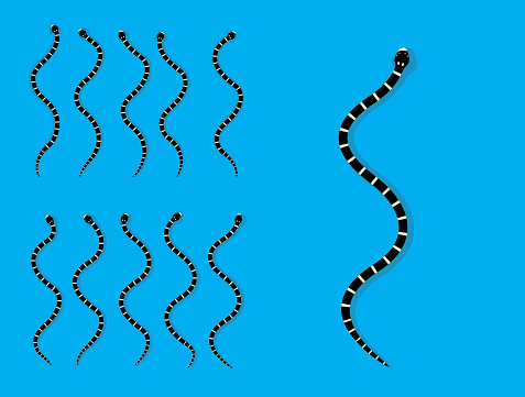 Animal Animation Sequence Calfornia King Snake Cartoon Vector Stock  Illustration - Download Image Now - iStock
