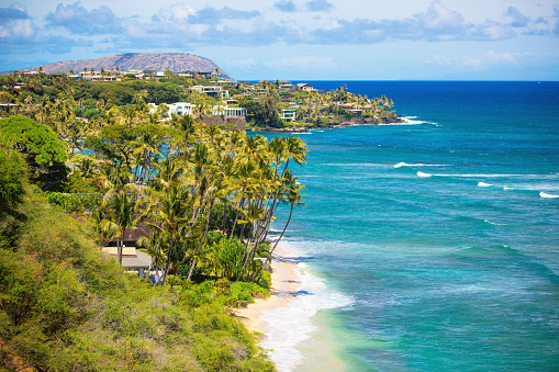 Film photograph the ocean through lush greenery on a tropical island.