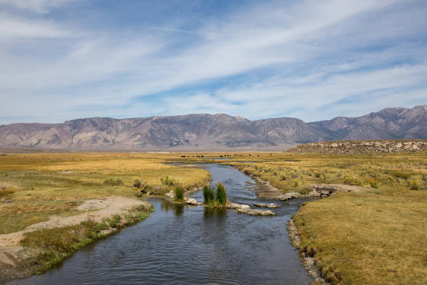 istock landscape with Owens River and mountains 1328604074