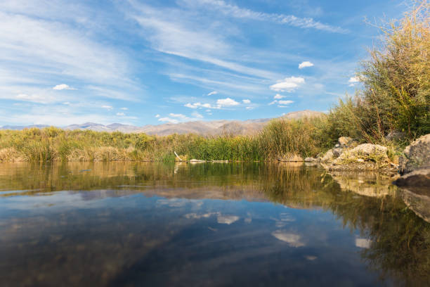 istock autumn landscape with Owens River in California 1328604085
