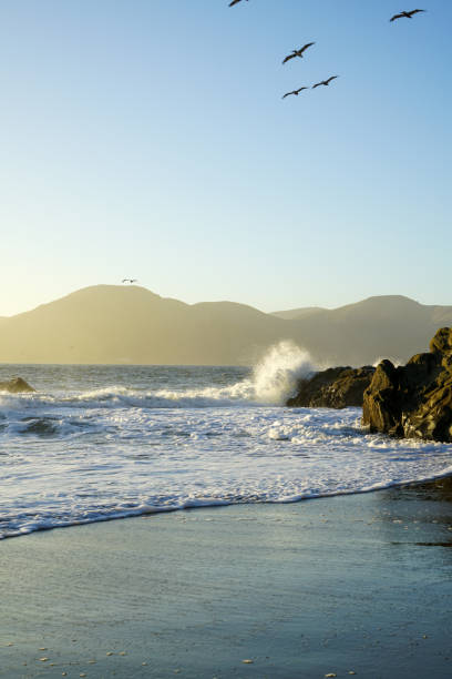 istock Birds flying over Baker Beach in San Francisco, California 1328605538
