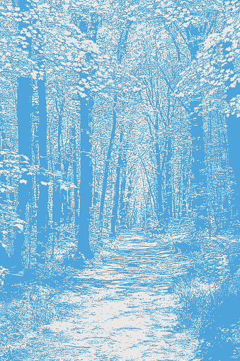 Vector illustration of a Forest footpath.