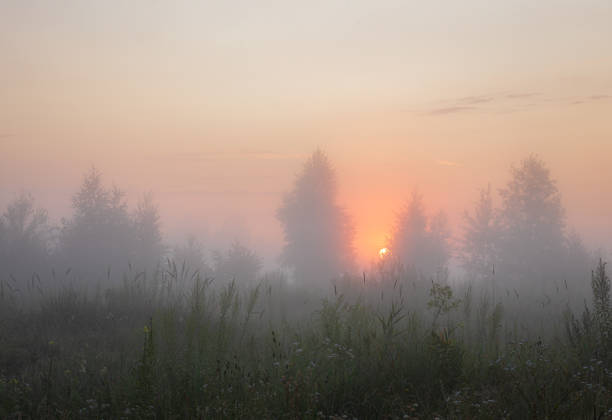 istock Summer sunrise in a countryside 1328610047