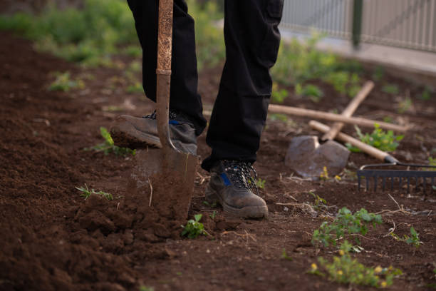 istock Plowing the land. Digging earth with shove. 1328612096