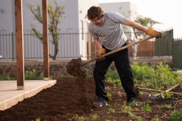 istock Plowing the land. Digging earth with shove. 1328612130