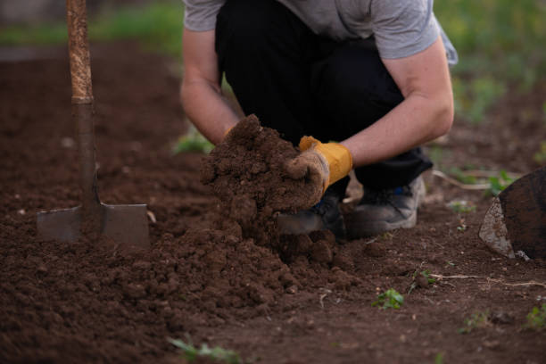 istock Plowing the land. Digging earth with shove. 1328612131