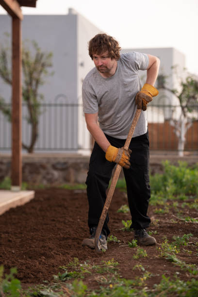 istock Plowing the land. Digging earth with shove. 1328612714