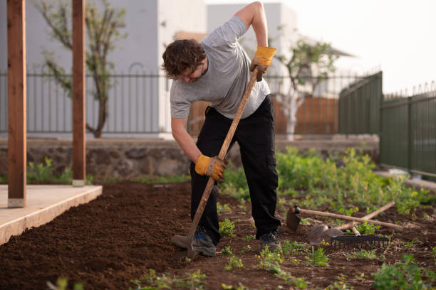 istock Plowing the land. Digging earth with shove. 1328612717