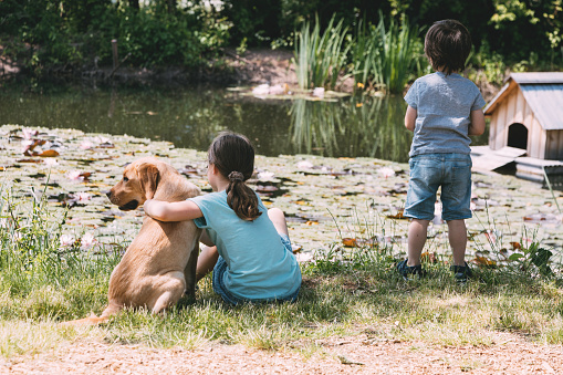 A girl and a boy, brother and sister play with a labrador puppy, a dog on a pond, lake, river. Joint summer games. Camping.