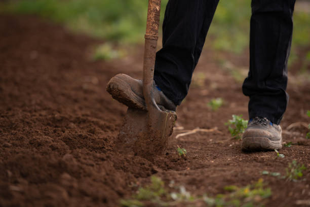 istock Plowing the land. Digging earth with shove. 1328612795