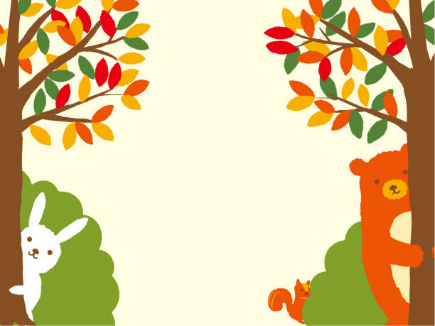 ilustraciones, imágenes clip art, dibujos animados e iconos de stock de animales salvajes en el bosque de otoño - autumn leaf white background land