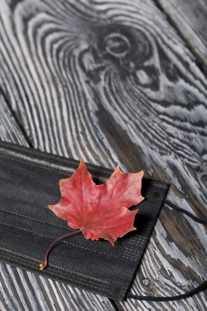 istock Medical mask and autumn maple leaf. On brushed pine boards. 1328617045