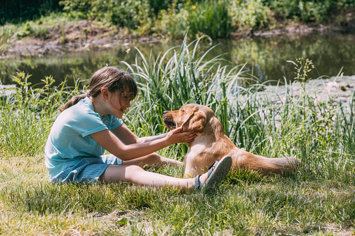 Friendship of animals and children, people. Caucasian girl sits on the bank of a pond, river and plays with a dog puppy, labrador retriever. Outdoor games, summer vacation.