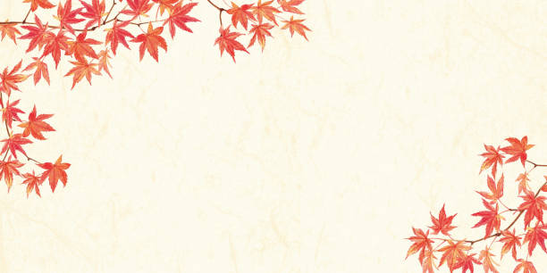 ahornblätter auf japanischem papierhintergrund - autumn branch leaf backgrounds stock-grafiken, -clipart, -cartoons und -symbole