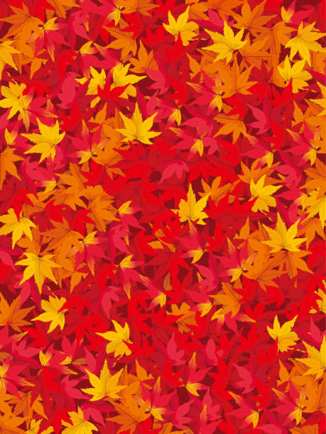 illustrazioni stock, clip art, cartoni animati e icone di tendenza di sfondo foglie d'acero - maple tree autumn textured leaf