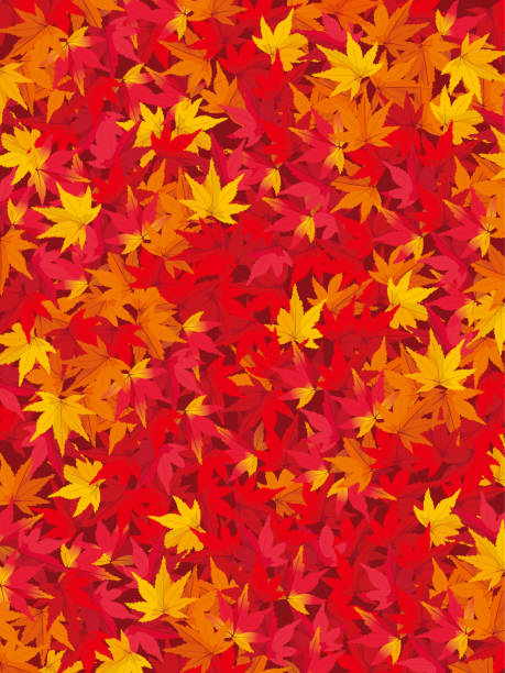 Maple leaves  background Maple leaves  background stipe stock illustrations