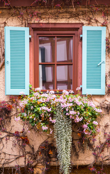 istock Windows with blue to turquoise shutters and beautiful floral decorations 1328618172