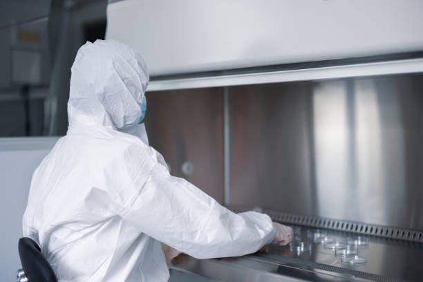 istock Scientist taking a sample out of a petri dish using a pipette 1328619086