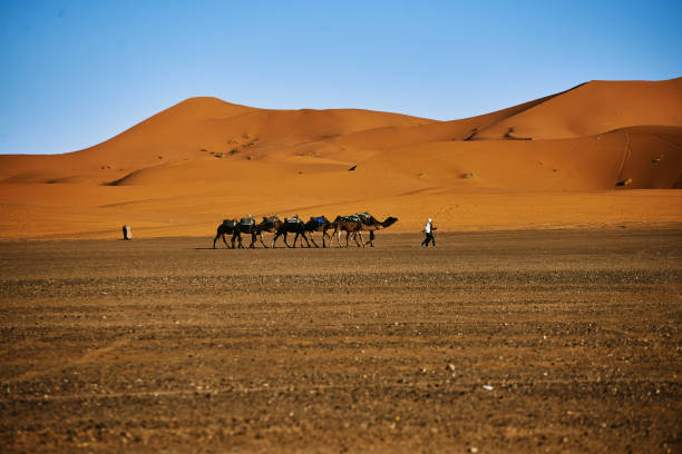 istock the dunes of merzouga 1328619294