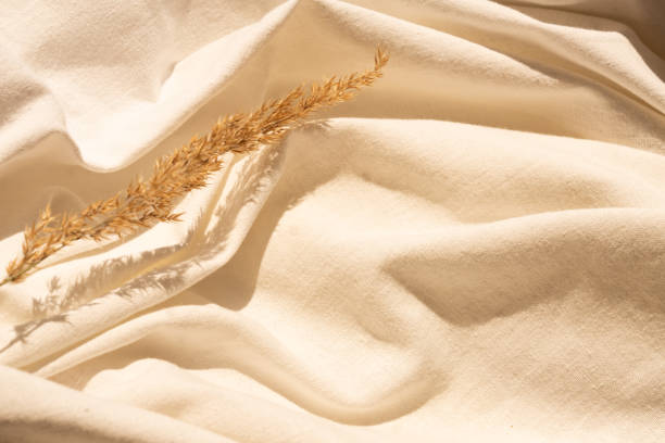 natural dried reed flowers on textured white linen textile material. flat lay background with dried flower arrangement. Organic design. Pastel colors.