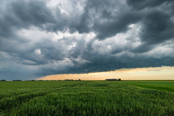 istock Thunderstorm over the plains at sunset 1328623522