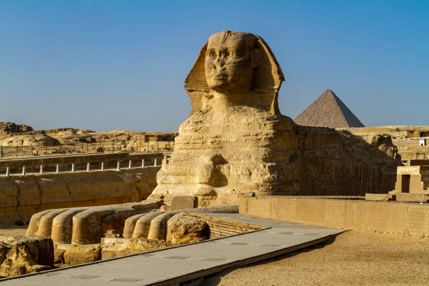The Sphinx of Giza at the pyramids The Sphinx of Giza at the pyramids luxor thebes stock pictures, royalty-free photos & images