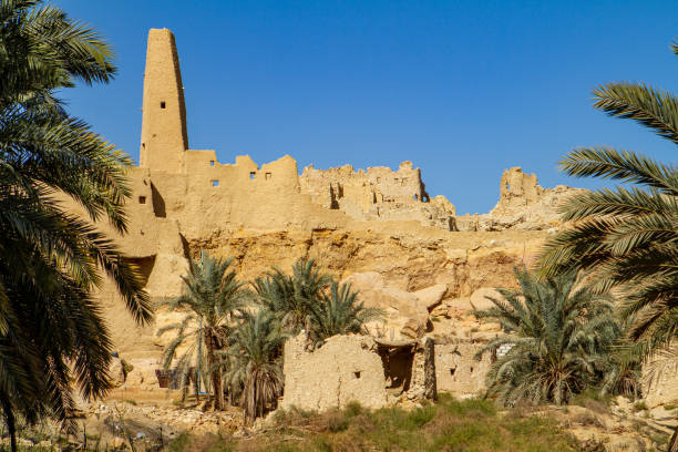 the temple of ammon in the oasis town of siwa in egypt - desert egyptian culture village town imagens e fotografias de stock