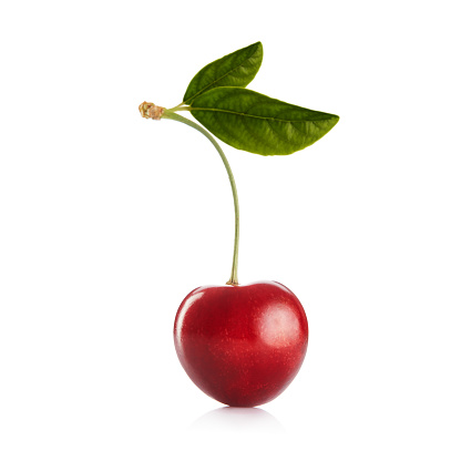 Ripe sweet cherry with green leaves isolated on white background