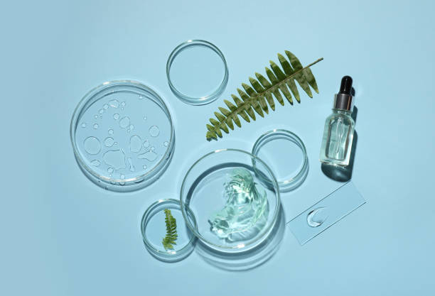 istock Flat lay composition with cosmetic product, fern and laboratory glassware on light blue background 1328628630