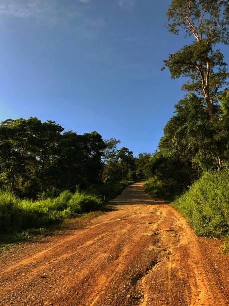 istock The Countryside Road 1328630933