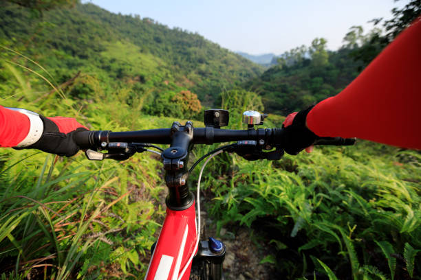 istock Riding mountain bike on summer rainforest trail 1328632190