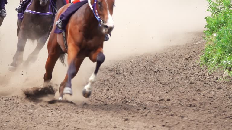 Several Horses Create Dust at the Bend. Slow Motion