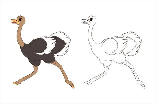 Vector illustration of Coloring book: Long-legged cute ostrich running forward, page for children. Vector illustration of isolated line art, in cartoon style