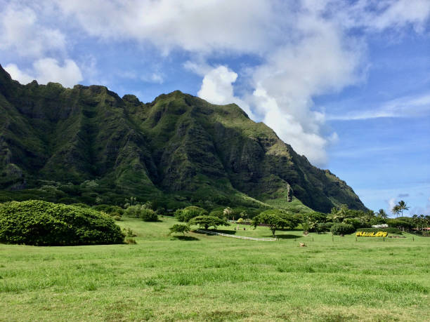 istock Kaawa Valley at Kualoa 1328638003
