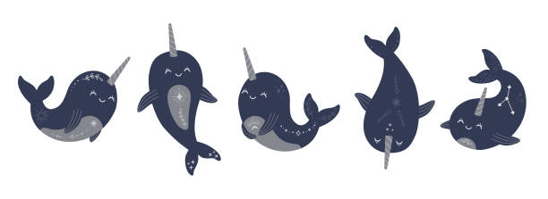 Cute mystic narwhals collection, magic celestial baby whale set Cute mystic narwhals collection, magic celestial baby whale set. Boho sea animals with star, moon and constellation modern trendy hand drawn vector illustration, flat cartoon style on white background backgrounds multi colored water mystery stock illustrations