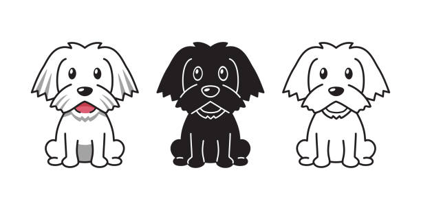 Vector cartoon set of maltese dog Vector cartoon set of maltese dog for design maltese silhouette stock illustrations