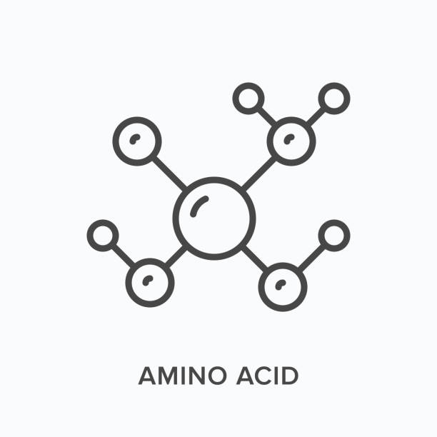 18,791 Amino Acid Stock Photos, Pictures & Royalty-Free Images - iStock |  Protein, Molecule, Crab